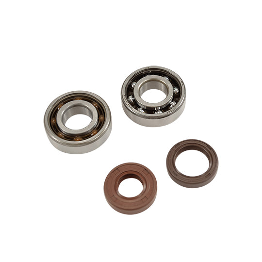 ROULEMENT VILO + JTS SPI DOPPLER ADAPT. AM6 ENDURANCE (6204 X2) SKF C4 POLYAMIDE